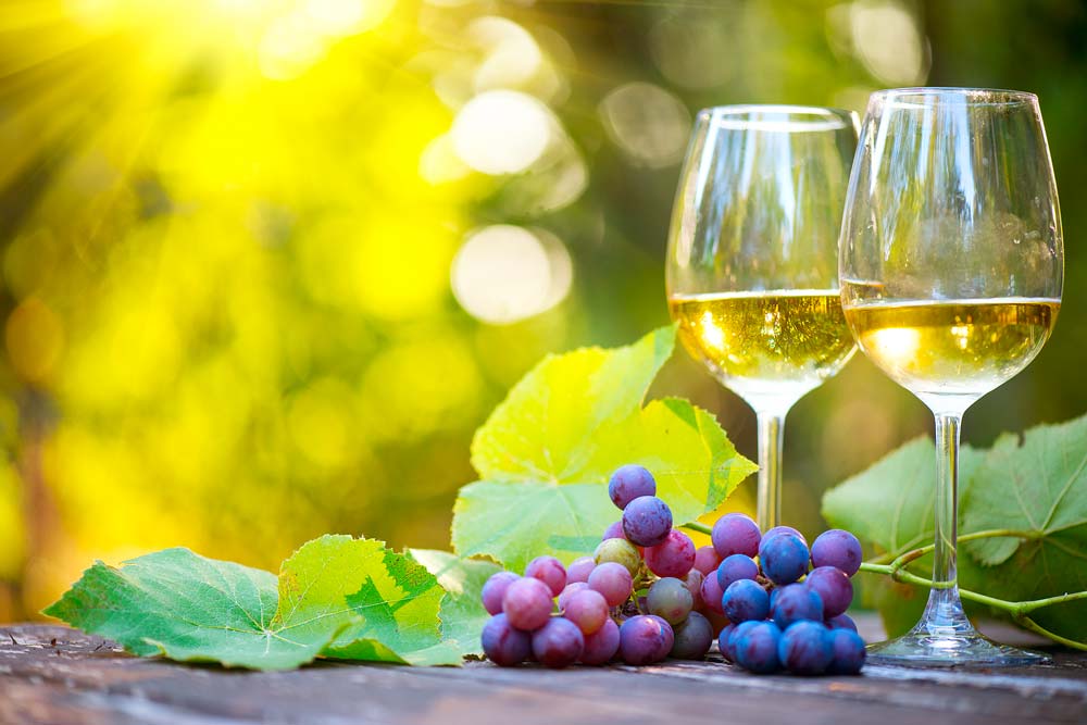 Discover Wineries with Food Near You: A Culinary Adventure